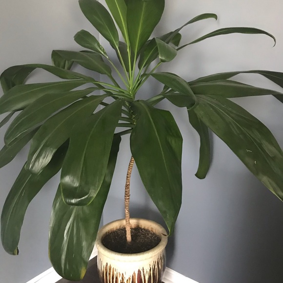 Meet your Posher, My - Picture 1 of 1